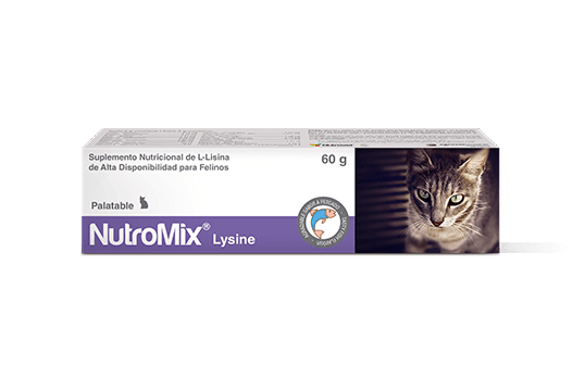 LYSINE PARA GATOS - NUTROMIX