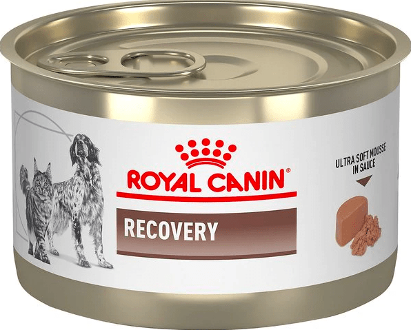 LATA ROYAL CANIN RECOVERY
