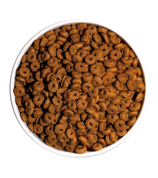 OWNAT - ALIMENTO PARA GATOS CLASSIC CAT DAILY CARE