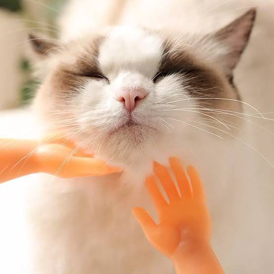 MANITAS PARA GATOS TIKTOK