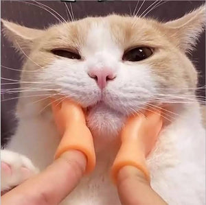 MANITAS PARA GATOS TIKTOK