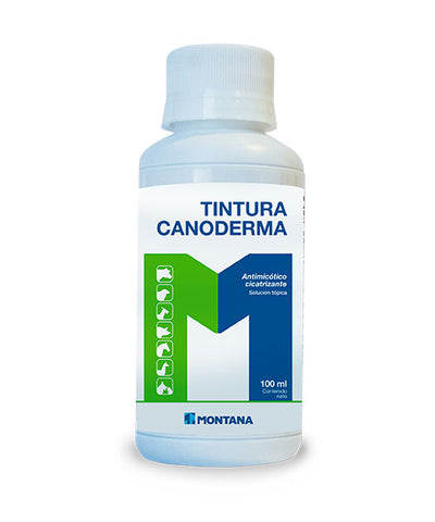 TINTURA CANODERMA