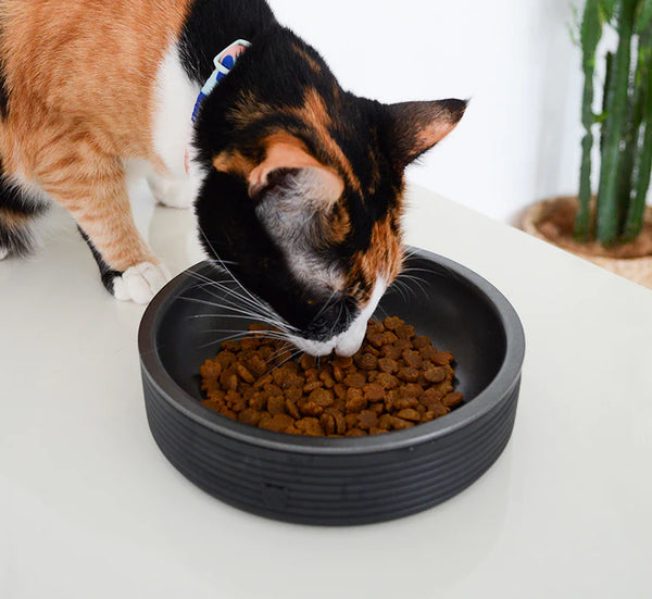 ZEECAT DUOBOWL ANTIBIGOTES PARA GATOS