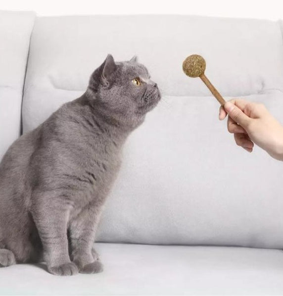 CHUPETIN DE CATNIP