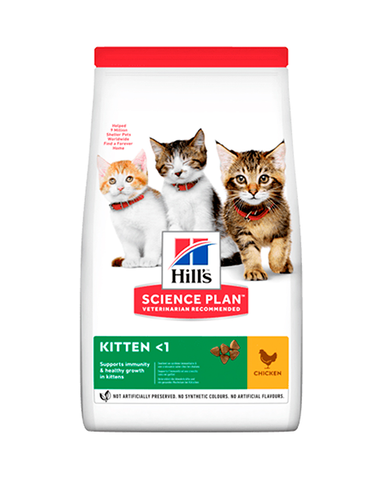 HILLS ALIMENTO KITTEN GATITOS