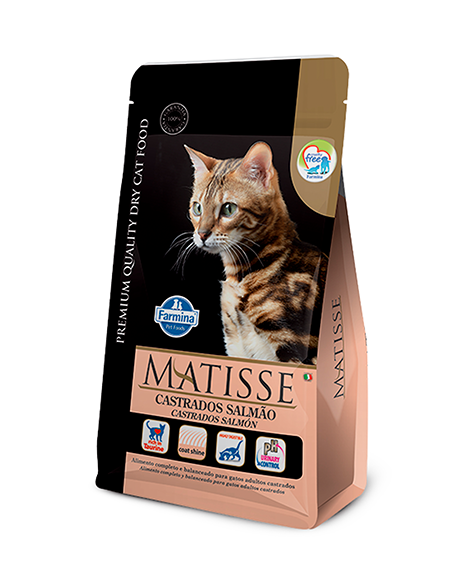 ALIMENTO MATISSE GATO CASTRADO SALMÓN Y ARROZ