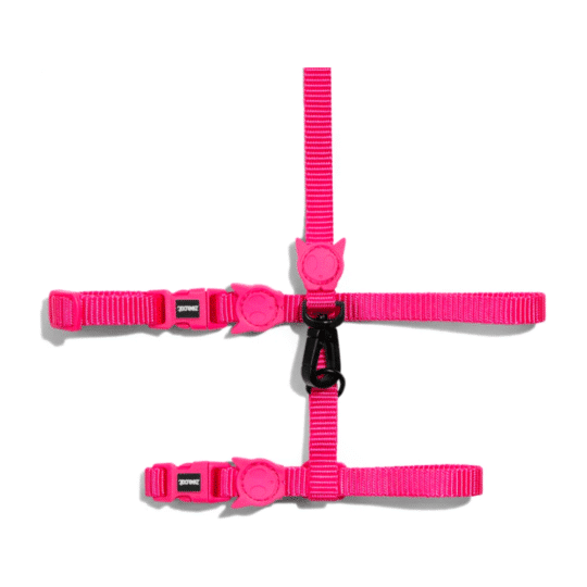 ARNÉS ZEECAT SOLIDS PINK LED