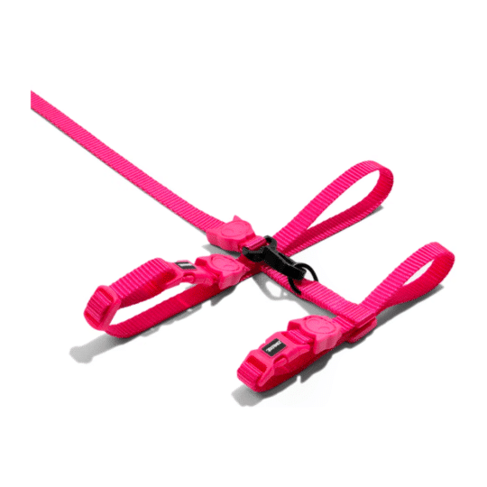 ARNÉS ZEECAT SOLIDS PINK LED