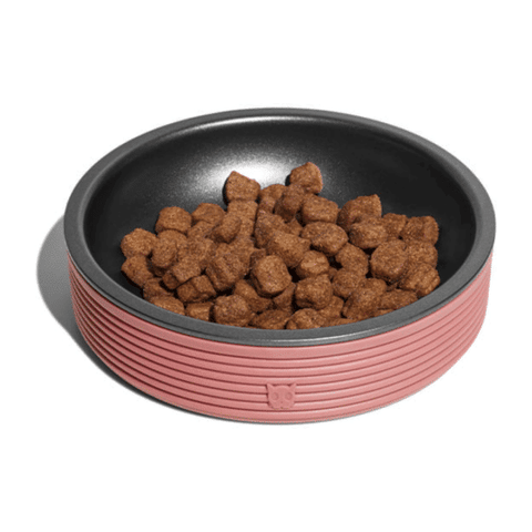 ZEECAT DUOBOWL ANTIBIGOTES PARA GATOS