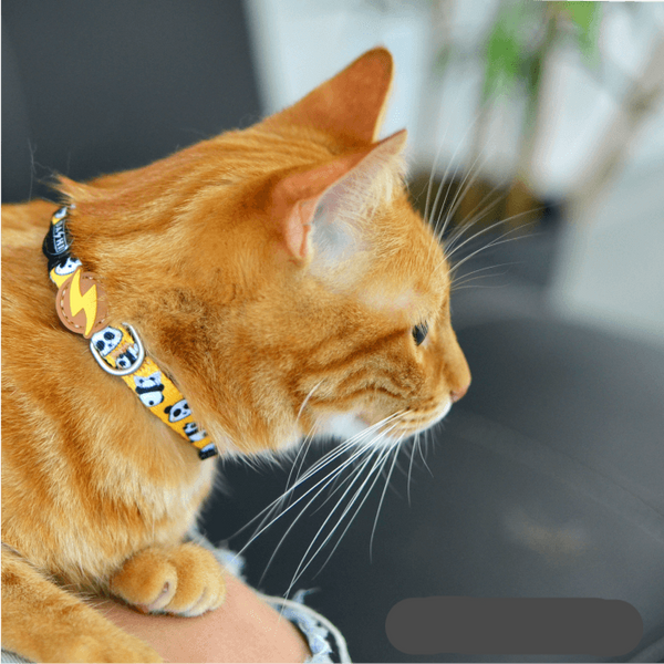 COLLAR DASHI OSITO