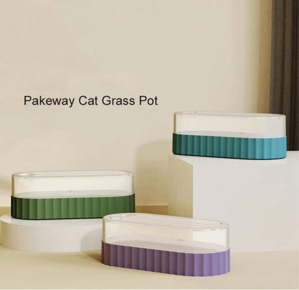 KIT DE GRASS HIDROPONICO - PAKEWAY
