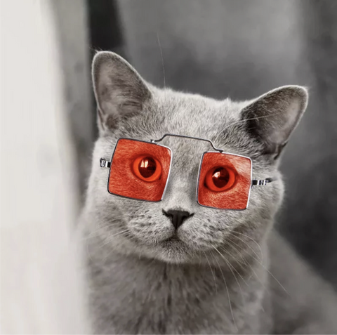 LENTES PARA GATOS SQUARE