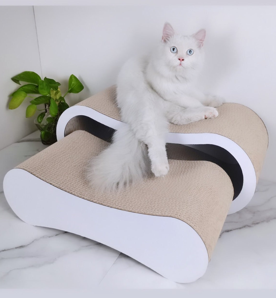 RASCADOR INFINITO DOBLE PARA GATOS