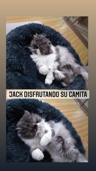 CALMING FLUFFY BEDS