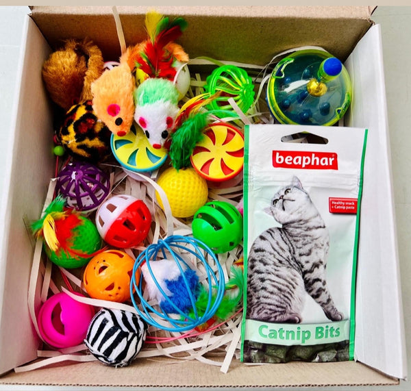 MIAUBOX