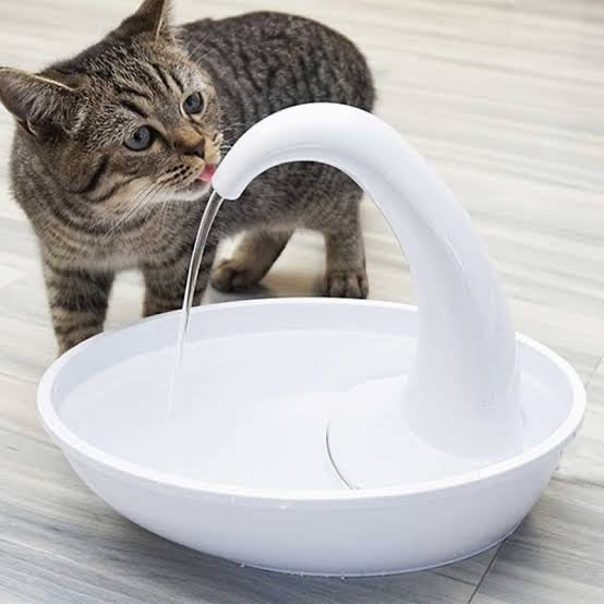 FUENTE DE AGUA PARA GATOS CISNE – miaugatospetshop