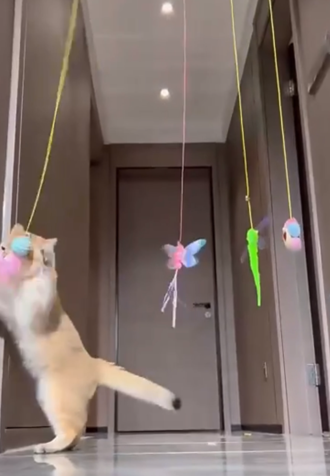 JUGUETE COLGANTE  ELÁSTICO TIKTOK